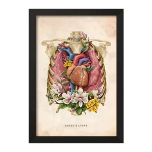 تابلو قلب و ریه‌ ها (Heart And Lungs)