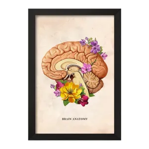 تابلو آناتومی مغز (Brain Anatomy)