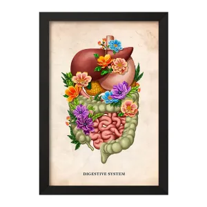 تابلو سیستم گوارش (Digestive System)