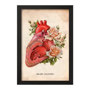 تابلو آناتومی قلب (Heart Anatomy)