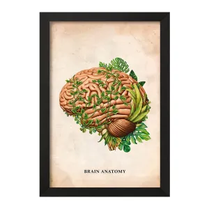 تابلو آناتومی مغز (Brain Anatomy)