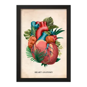 تابلو آناتومی قلب (Heart Anatomy)