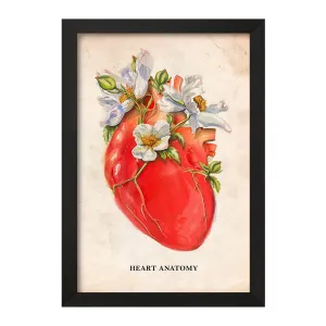 تابلو آناتومی قلب (Heart Anatomy)