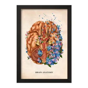 تابلو آناتومی مغز (Brain Anatomy)