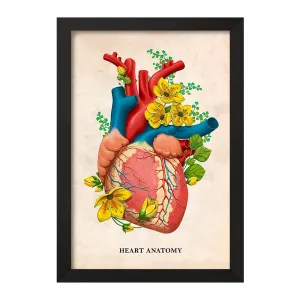 تابلو آناتومی قلب (Heart Anatomy)