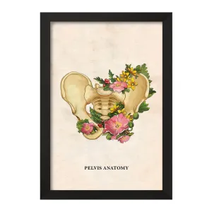 تابلو آناتومی لگن (Pelvis Anatomy)