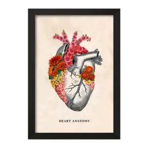 تابلو آناتومی قلب (Heart Anatomy)