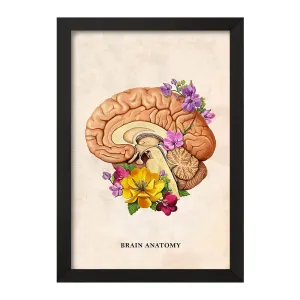 تابلو آناتومی مغز (Brain Anatomy)