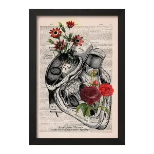 تابلو آناتومی قلب (Heart Anatomy)