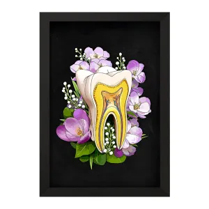 تابلو آناتومی دندان (Tooth Anatomy)