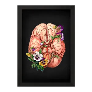 تابلو آناتومی مغز (Brain Anatomy)