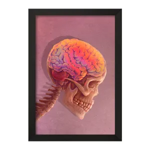 تابلو آناتومی مغز (Brain Anatomy)
