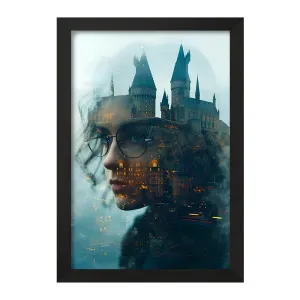 تابلو هرماینی هری پاتر (Harry Potter)