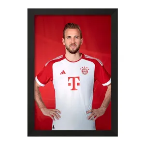 تابلو هری کین (Harry Kane)