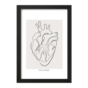 تابلو آناتومی قلب (Heart Anatomy)