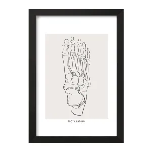 تابلو آناتومی پا (Foot Anatomy)