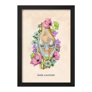 تابلو آناتومی زانو (Knee Anatomy)