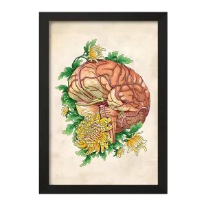 تابلو آناتومی مغز (Brain Anatomy)