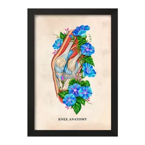تابلو آناتومی زانو (Knee Anatomy)