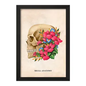 تابلو آناتومی جمجمه (Skull Anatomy)