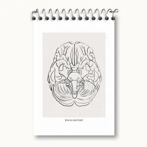 دفتر یادداشت آناتومی مغز (Brain Anatomy)