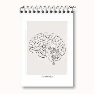 دفتر یادداشت آناتومی مغز (Brain Anatomy)