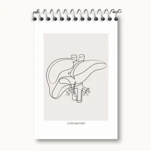 دفتر یادداشت آناتومی کبد (Liver anatomy)
