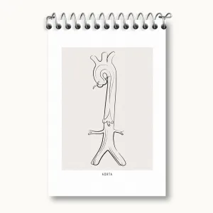 دفتر یادداشت آئورت (Aorta)
