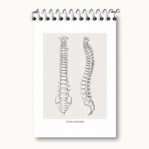 دفتر یادداشت آناتومی ستون فقرات (Spine Anatomy)