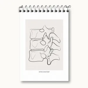 دفتر یادداشت آناتومی ستون فقرات (Spine Anatomy)