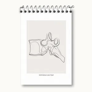 دفتر یادداشت آناتومی مهره ها (Vertebrae Anatomy)