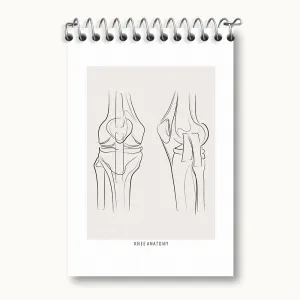 دفتر یادداشت آناتومی زانو (knee Anatomy)