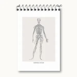 دفتر یادداشت سیستم عصبی (Nervous System)