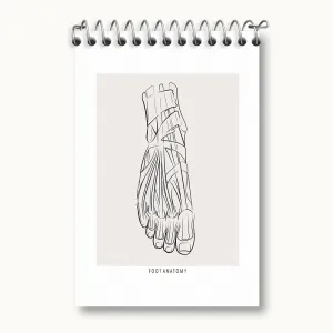 دفتر یادداشت آناتومی پا (Foot Anatomy)