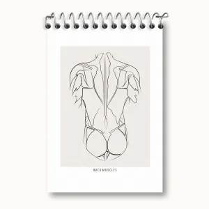 دفتر یادداشت آناتومی بدن (Body Anatomy)