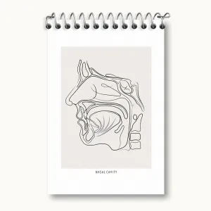 دفتر یادداشت حفره بینی (Nasal Cavity)