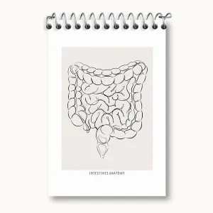 دفتر یادداشت آناتومی روده (Intestines Anatomy)