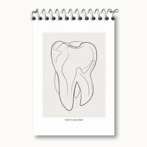 دفتر یادداشت آناتومی دندان (Tooth Anatomy)