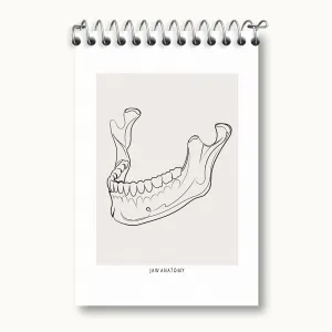 دفتر یادداشت آناتومی فک (Jaw Anatomy)