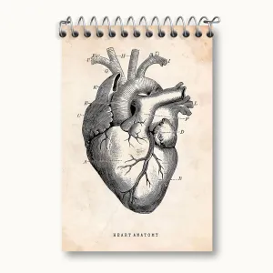 دفتر یادداشت آناتومی قلب (Heart Anatomy)