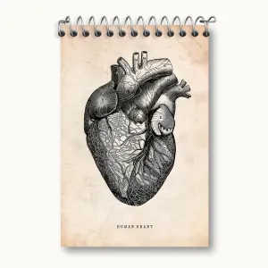 دفتر یادداشت آناتومی قلب (Heart Anatomy)