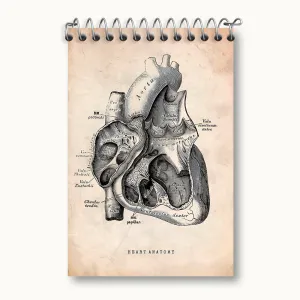 دفتر یادداشت آناتومی قلب (Heart Anatomy)