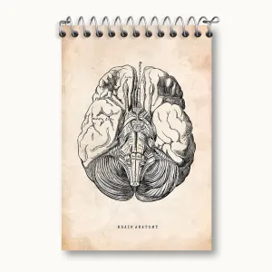 دفتر یادداشت آناتومی مغز (Brain Anatomy)