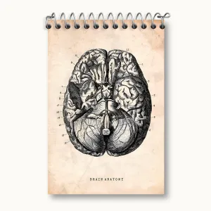 دفتر یادداشت آناتومی مغز (Brain Anatomy)
