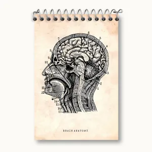 دفتر یادداشت آناتومی مغز (Brain Anatomy)