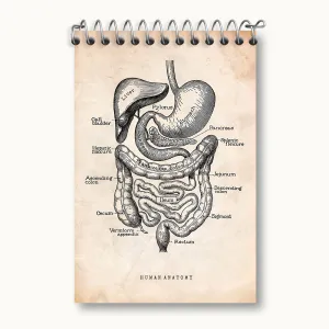 دفتر یادداشت آناتومی انسان (Human Anatomy)