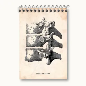 دفتر یادداشت آناتومی ستون فقرات (Spine Anatomy)