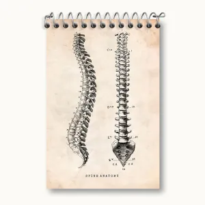 دفتر یادداشت آناتومی ستون فقرات (Spine Anatomy)