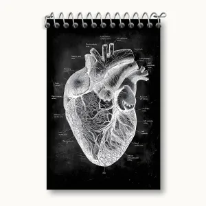 دفتر یادداشت آناتومی قلب (Heart Anatomy)