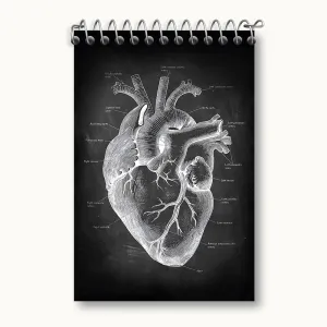 دفتر یادداشت آناتومی قلب (Heart Anatomy)